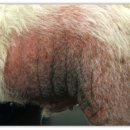 북광주동물약국 이미지