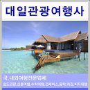 대일관광여행사 이미지