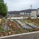 역동초등학교 이미지