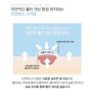 상진약국 | 제왕절개 켈로이드 흉터연고 시카케어 처방(실비가능병원) 홍대피부과 뷰티유의원