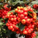 해주여관 이미지