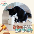 삼조축산 | 겨울철 고양이 음수량 줄어드는 이유! 물 섭취량 늘리는 해결법은?