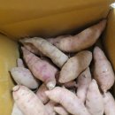 ( 내돈내산 ) 해남 달망 밤고구마, 2kg(한입) 구입후기 입니다.
