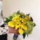 카라flower