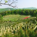 (주)좋은친구들 네이버블로그