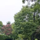 혼PC방 | 대구 앞산 혼자 놀러 가기