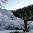 설화 이미지