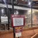 분당중앙공원 | 분당 중앙공원 맨발걷기 황토길 맨발걷기 어싱 기분좋은 시원함