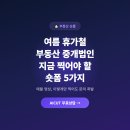 스마트부동산중개주식회사 | 여름 휴가철 부동산 중개법인, 지금 찍어야 할 숏폼 5가지
