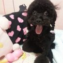 뭉개뭉개 네이버블로그