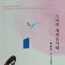 그녀의 새끼손가락 | 백종선 미니소설집 | 2020.11.25 출간 이미지