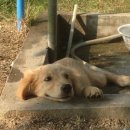 충청풋살공원 이미지