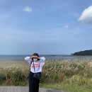 청산야영장 | 안면도 태안 여행 : 신두리해안사구, 구례포 학암포해수욕장, 학암포바다회수산 맛집