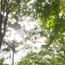 2019년 8월 19일 선덕여왕 25화 온라인 단체관람 달글 이미지