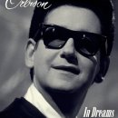 In Dreams / Roy Orbison 이미지