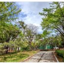 솔안말어린이공원 이미지