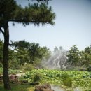 한림공원 이미지