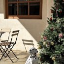 도그 베이커리 이미지