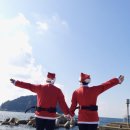 신중로 | 제주도 스쿠버다이빙! 서귀포 씨플로우, 크리스마스 보트다이빙 체험 후기