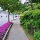 삼매봉[남] 티스토리