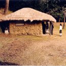 상효동-3 이미지