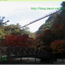 송학동-09 이미지