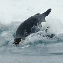 과학자가 들려주는 환경이야기 이미지