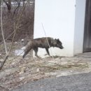 오동마을경로당 이미지