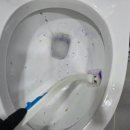 대상하이츠오피스텔 네이버블로그