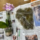 반석종합사회복지관 이미지