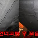 쉴드런