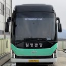 월명관광여행사