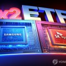 왝더독