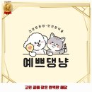 예쁘댕냥 이미지