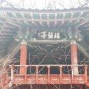 신녕면-성환산공원-1