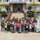 적량초등학교 이미지