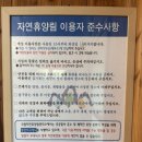 단풍나무펜션 | [숙박 후기] 충남 서산 용현 자연 휴양림 숲속의 집 단풍나무 내돈내산 후기