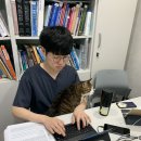 올케어 동물의료센터 이미지