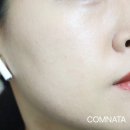 마이달리아