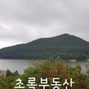 초록부동산중개사무소 이미지