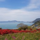남도 섬 이야기-꽃섬, 여수 하화도 이미지