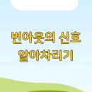 번아웃 티스토리