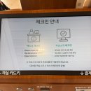 CU 거제오션호텔점 | 거제 벨버디어 뽀로로룸 피카부 오션뷰 호텔형 숙박후기