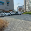 티코커피숍