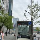 토마토치과의원 | (30대 외모정병 해결하기) 신사역 원데이 치아미백 내돈내산 후기