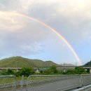 영진마트 앞 이미지