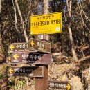 수정5동체육공원 이미지