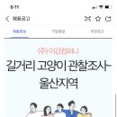 길거리 고양이 조사는 뭐하는 알바일까?... 이미지