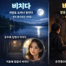 비치다 Daum카페