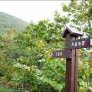 평원농장 이미지